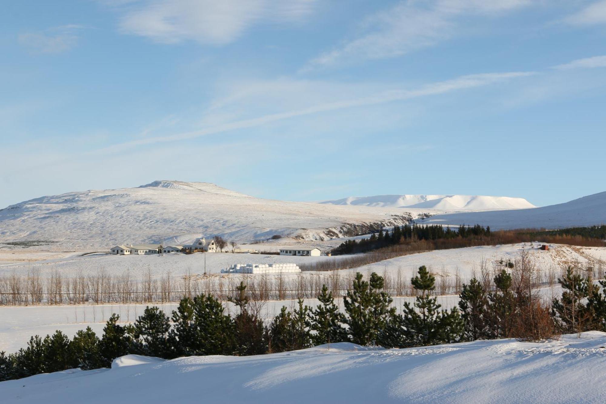 Guesthouse Steindorsstadir, West Iceland Reykholt  Luaran gambar