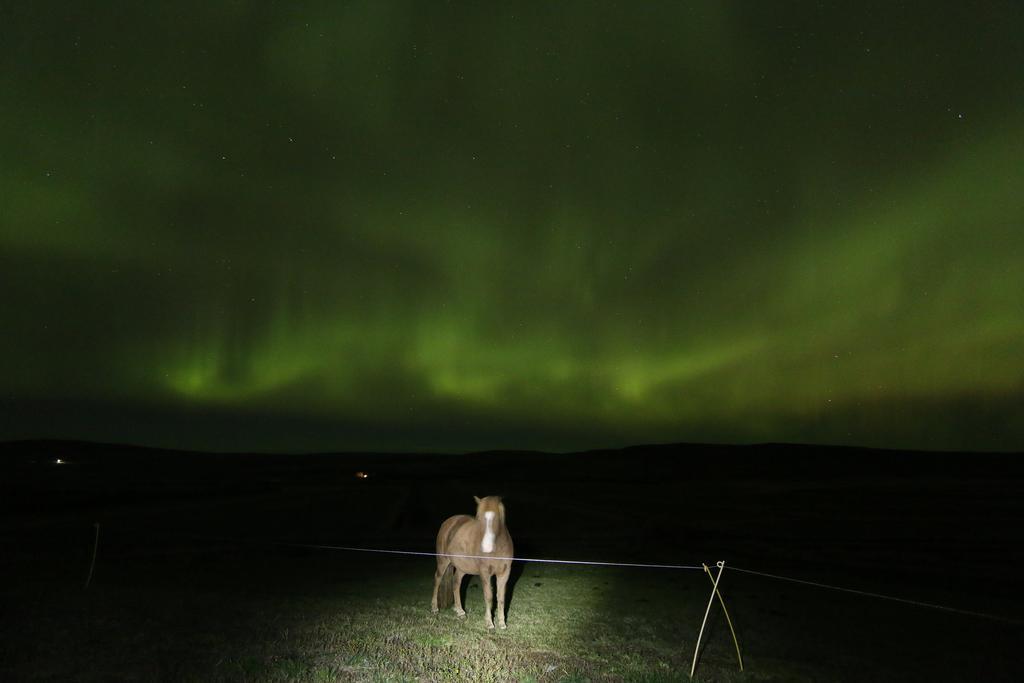 Guesthouse Steindorsstadir, West Iceland Reykholt  Luaran gambar